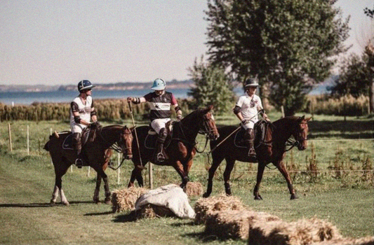Sejarah Polo Shirt, Berawal dari Olahraga Polo?